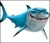 Comment s'appelle ce requin ?