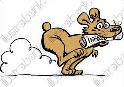 Comment dit-on ' le journal ' ?