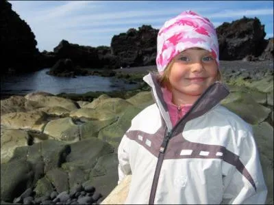 A quelle famille linguistique appartient l'islenska (islandais) ?