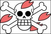 A qui appartient ce drapeau ?