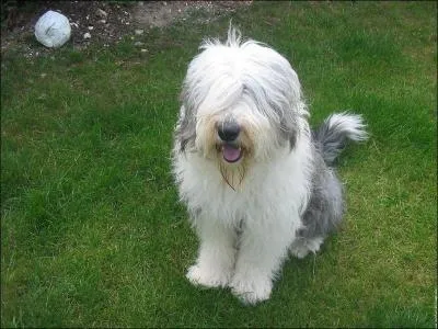 Facile pour la fin ... . le :