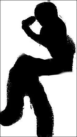  qui appartient cette ombre ?