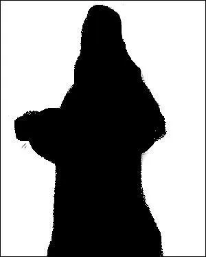  qui appartient cette ombre ?