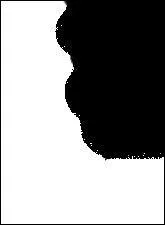  qui appartient cette ombre ?