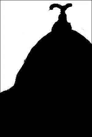  qui appartient cette ombre ?