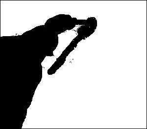  qui appartient cette ombre ?