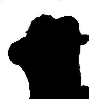  qui appartient cette ombre ?