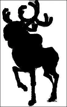  qui appartient cette ombre ?