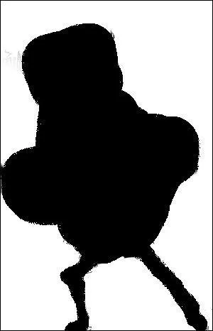  qui appartient cette ombre ?