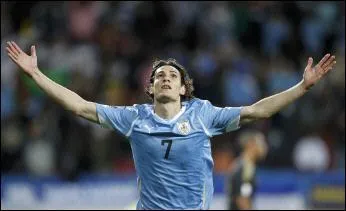 Edinson Cavani (Naples) : Top ou flop ?