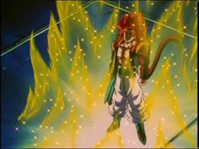 Comment s'appelle cette fusion ?