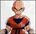 Dans quel manga peut-on voir Krillin ?