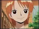 Dans quel manga peut-on voir Nami ?