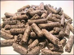 Que mangent les chevaux ?