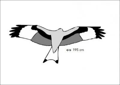 Je suis emblmatique en Corse. Quel est mon nom ?