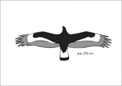 Je vis plutt en montagne et peut chasser de trs grandes proies. Quel est mon nom ?