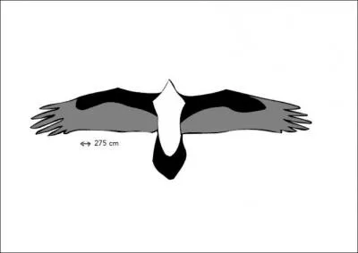 On m'appelle 'le casseur d'os' ou le' nettoyeur'. Qui suis-je ?