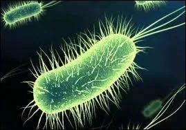 Je rends trs malade !