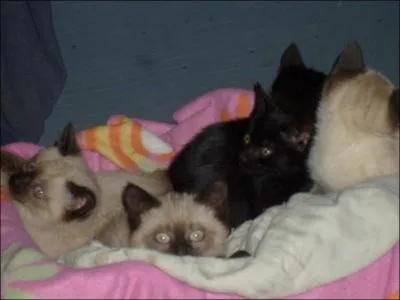 A quel ge est-il sevr ?