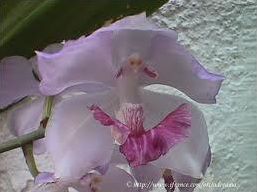 Quiz Nature, cologie