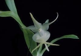 Quiz Nature, cologie