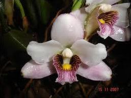 Quiz Nature, cologie