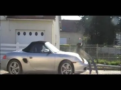 Comment s'appelle la vido o Tom se fait craser ?