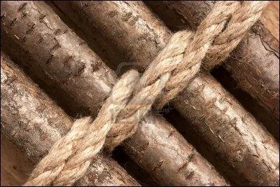 Les cordes sont attaches par le gardien. ( necto, is, ere)