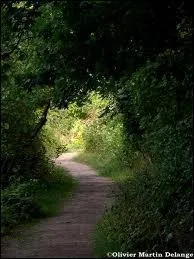 Comment dit-on le ' chemin ' ?