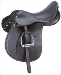 Qu'est-ce que c'est ?