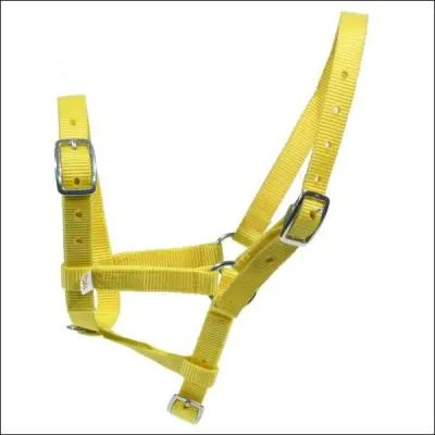 Qu'est-ce que c'est ?