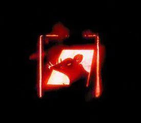 De quel rappeur provient ce slogo