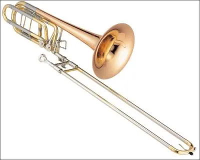 Quel est cet instrument ?
