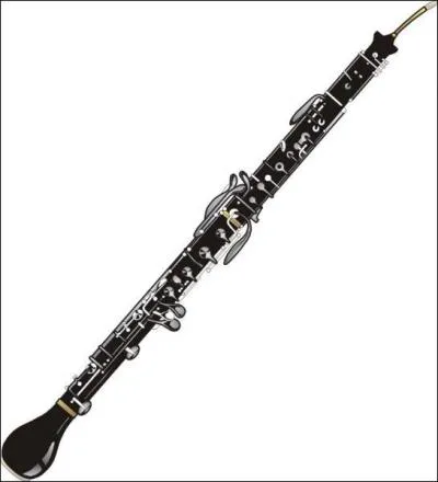 Quel est cet instrument ?