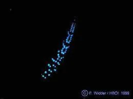 Au secours les lumires d'un Ovni ! Non, c'est un(e) ...