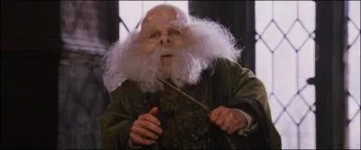 Le professeur des enchantements est ...