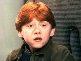 Ron n'aime pas entendre le nom de Voldemort.