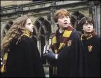 Harry, Hermione et Ron appartiennent  la maison des ...