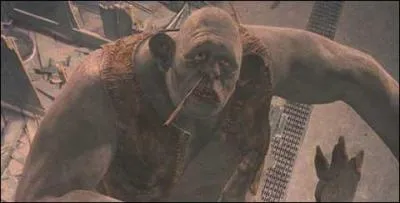 D'une certaine manire, Harry combat un troll  cause de ...