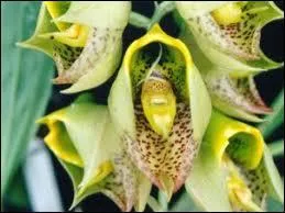 Celle-l s'appelle ...