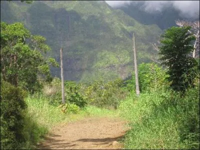 FILM : Quel dinosaure visible plusieurs fois dans le film ne figure pas dans le parc du livre de Michael Crichton ?