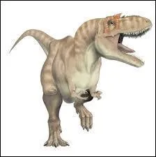 DINOSAURES : Qui fut le 'frre' direct du Tyrannosaurus ?