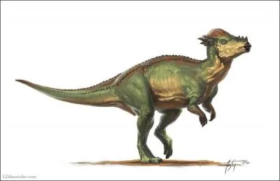 DINOSAURES : Quelle tait la particularit de Pachycephalosaurus ?