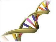 LIVRE : Quel fut le premier animal gntiquement modifi par John Hammond ?