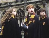 Hermione Granger et Ron Weasley sont les ... de Harry.