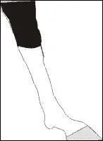 Comment sont ces balzanes ?