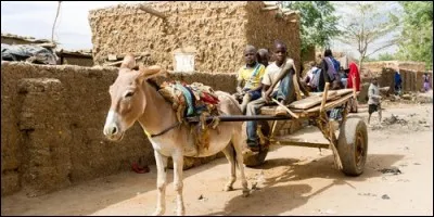 Quelle est la plus grande richesse du Niger ?