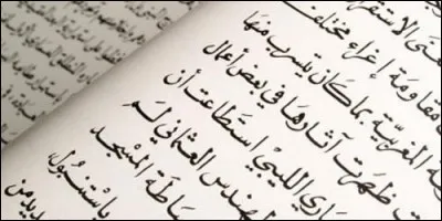 Quelle langue ne parle-t-on pas en Algérie ?