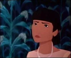Qui est ce personnage de Pocahontas ?