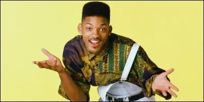Quelle la série a fait connaître le célèbre Will Smith ?
